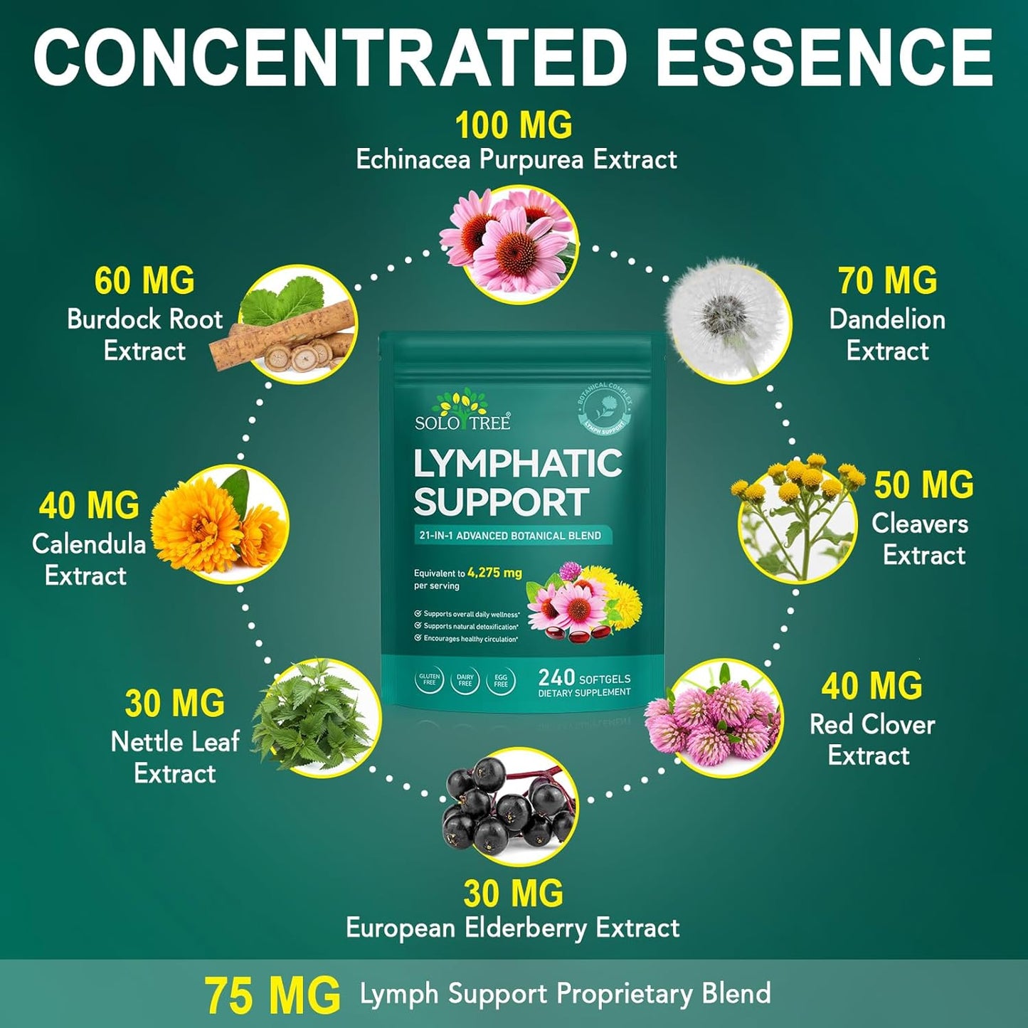 Lymphatic Support 21-in-1 Complex